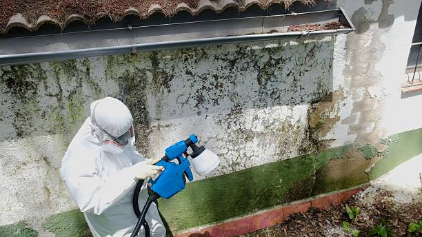 Trusted Commercial Mold Remediation service in Long Valley, NJ - Cheap Mold Removal